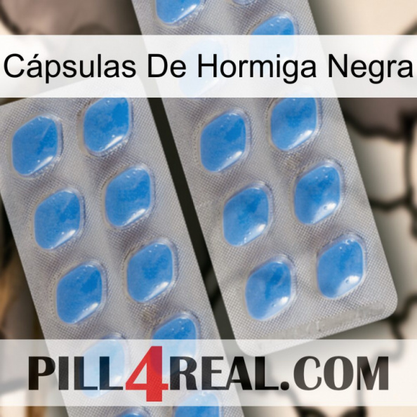 Cápsulas De Hormiga Negra 23.jpg